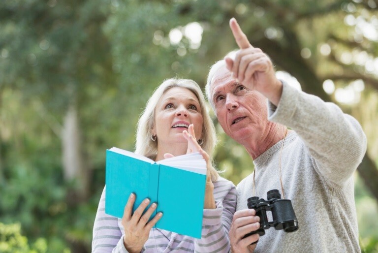 Bird watchers